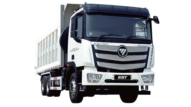 Foton Auman EST Dumper 10 Wheeler Truck for Sale